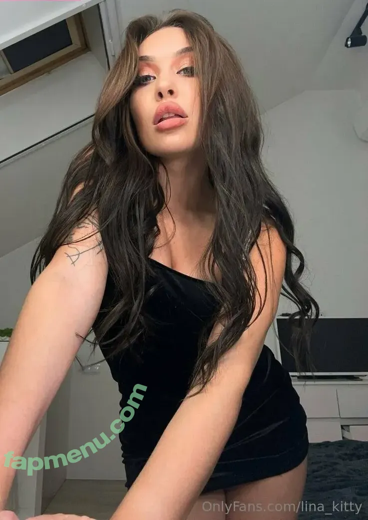 lina_kitty nude photo #0002 (princesslina__)