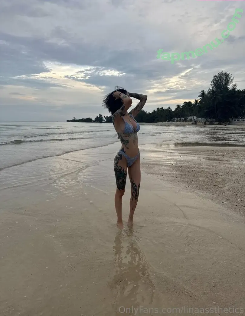 linaassthetics nude photo #0028 (linas.aesthetic)