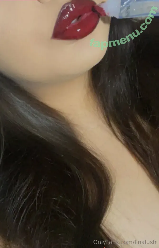 linalush nude photo #0018 (linalush.dj)