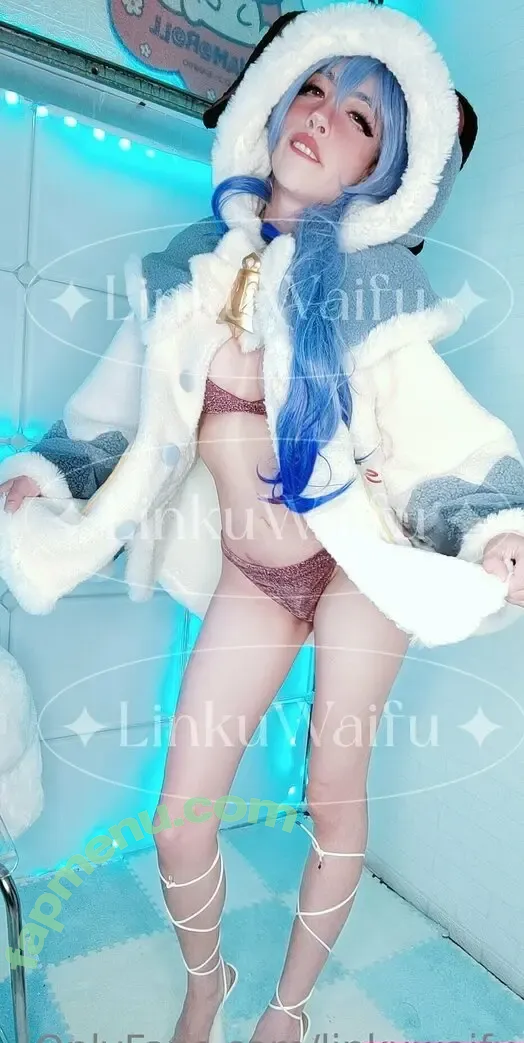 linkuwaifu nude photo #0018 (linkuwaifu)