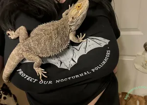 LinRARvtuber / Linrar nude photo #0052