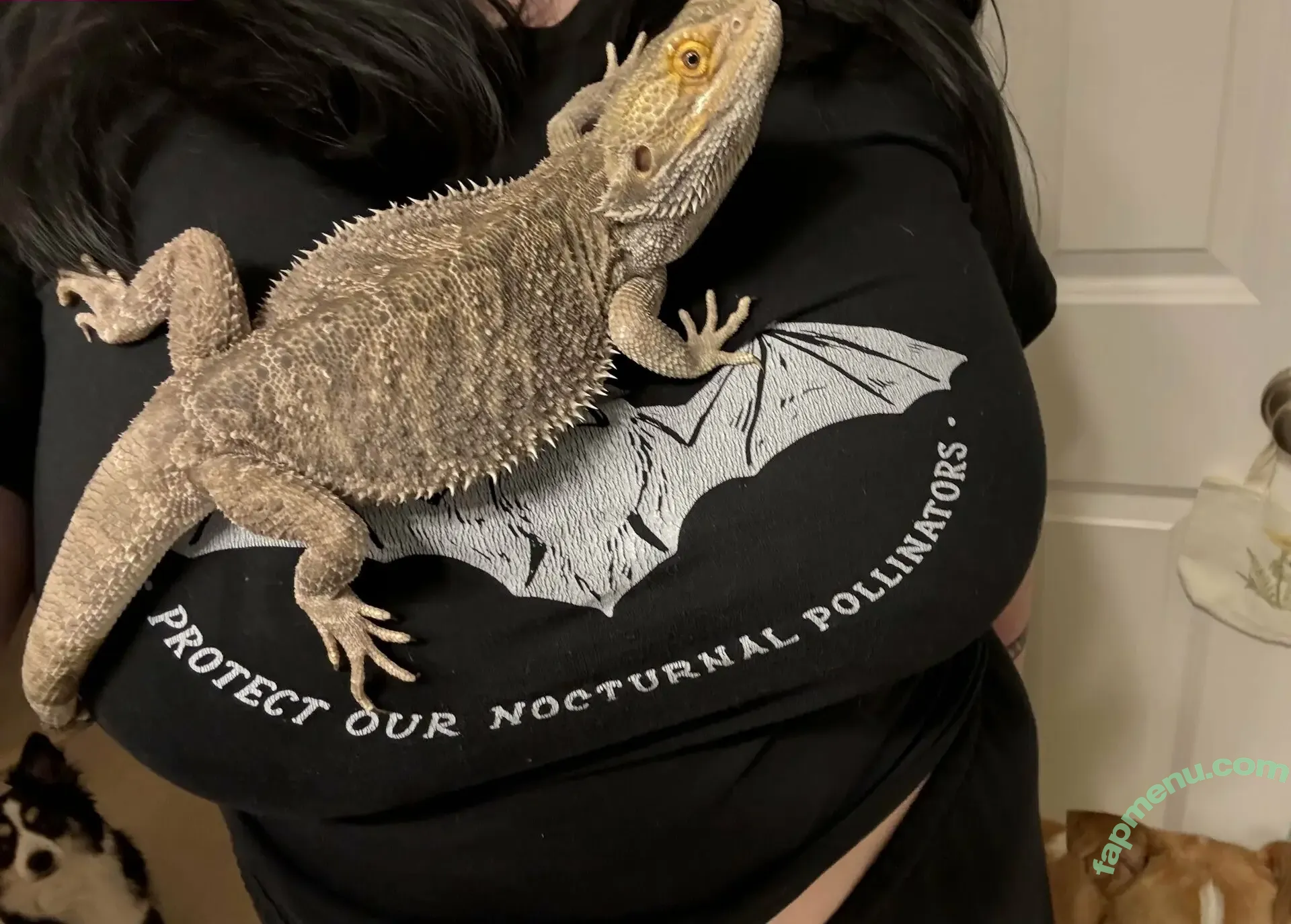 LinRARvtuber nude photo #0052 (Linrar)