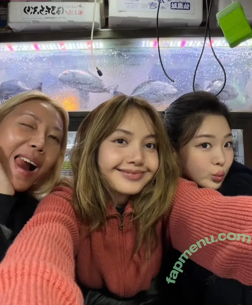 Lisa Blackpink nude photo #3340 (Lisa Blackpink)