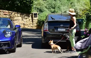 Lisa Rinna / lisarinna nude photo #0421