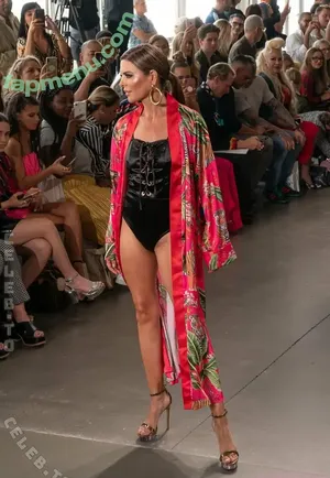 Lisa Rinna / lisarinna nude photo #0427