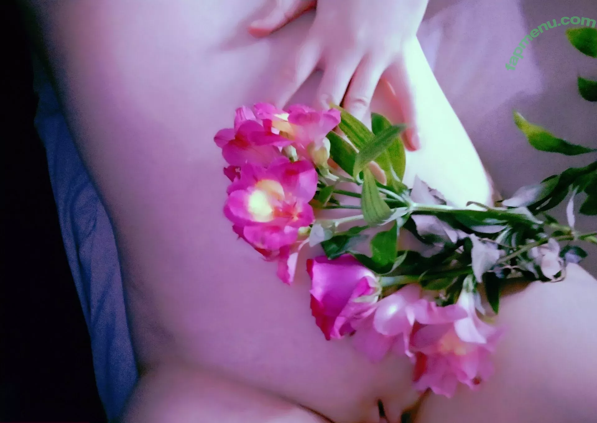 Lissaviip nude photo #0050 (sophieveldwijk)