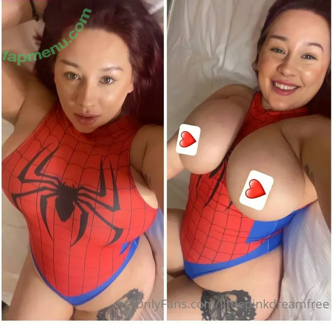 littlepinkdreamfree nude photo #0023 (lilpink3y)