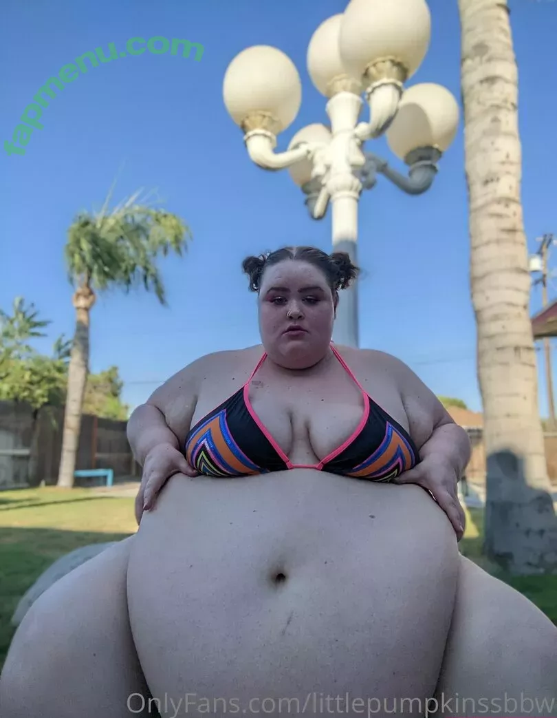 littlepumpkinssbbw nude photo #0020 (littlepumpkinssbbw)