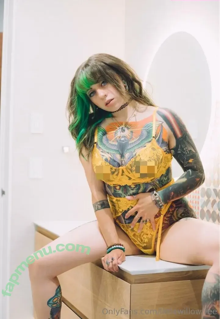 littlewillowfree nude photo #0041 (thelittlewillow_)