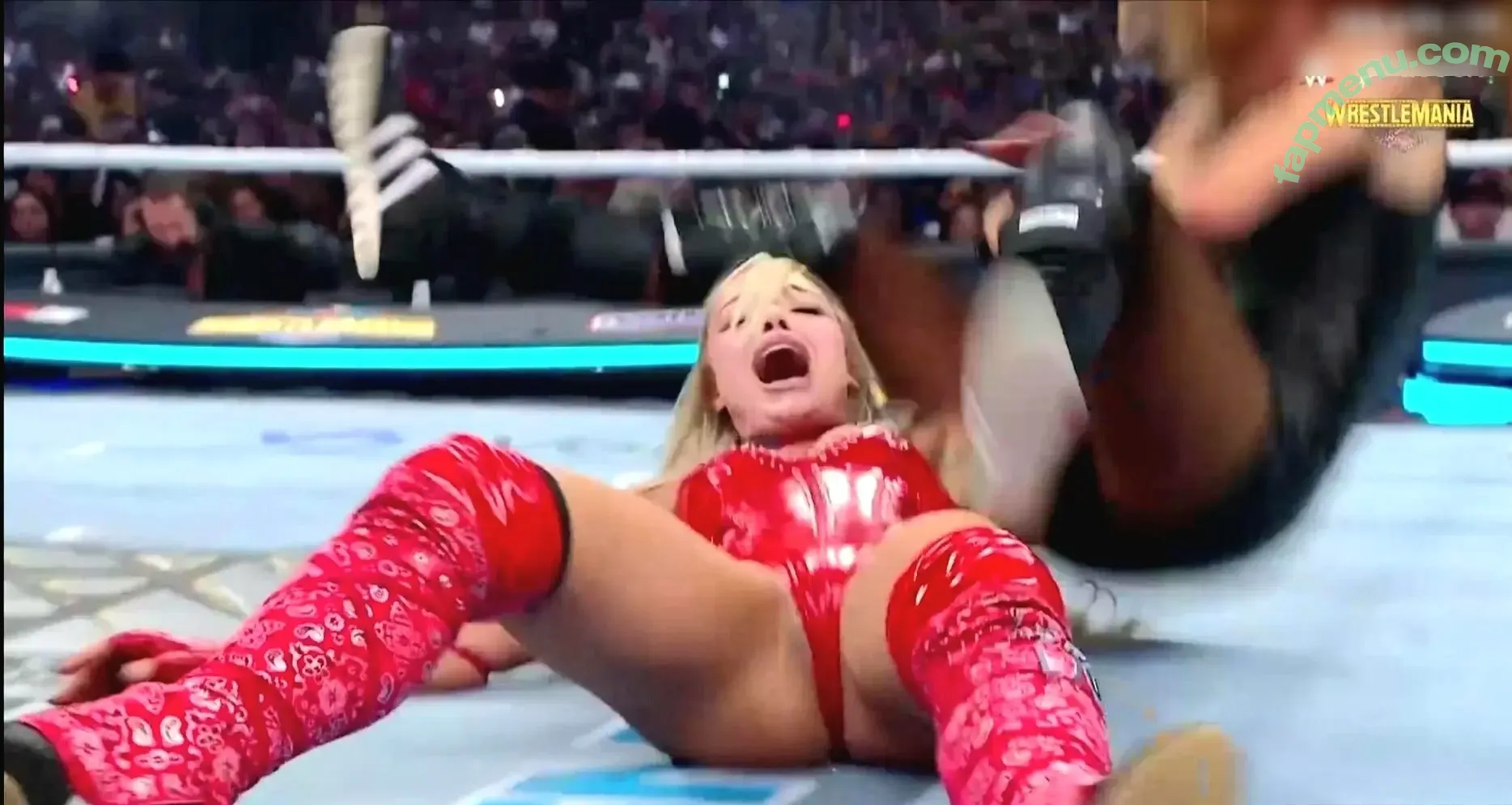 Liv Morgan nude photo #1594 (yaonlylivvonce)