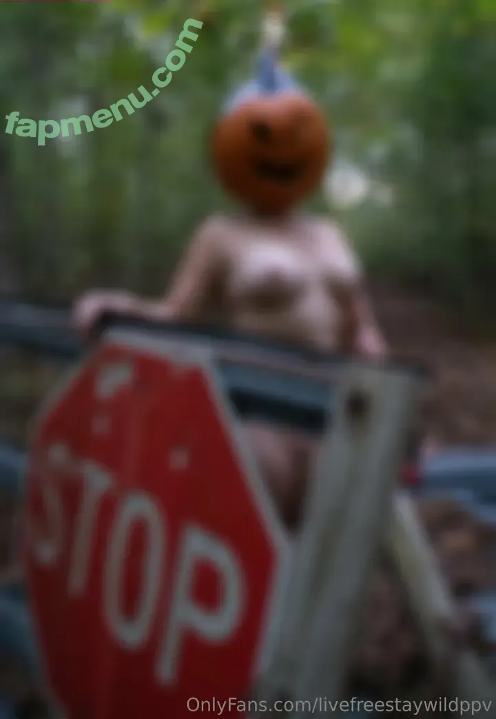 livefreestaywildppv nude photo #0015 (livefreestaywildppv)
