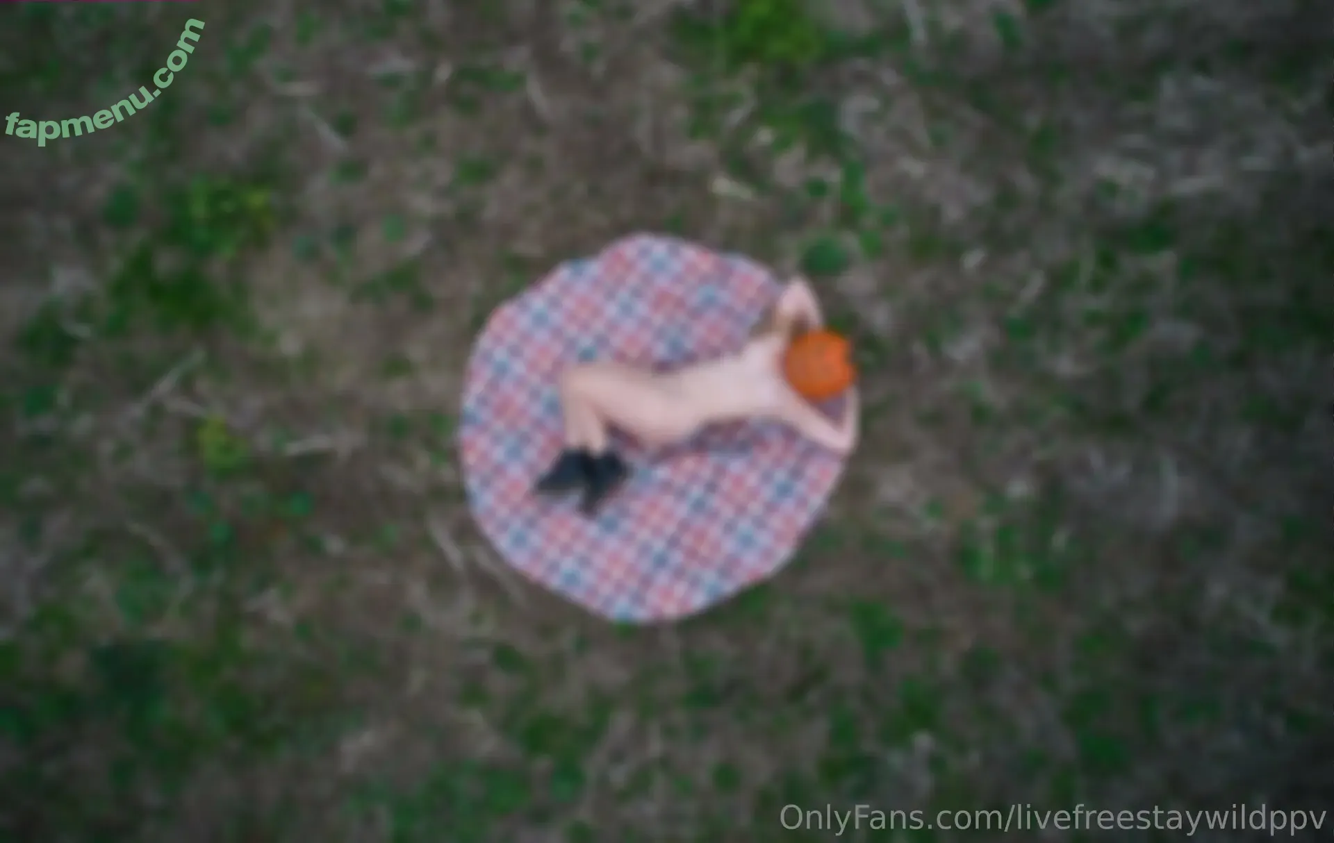 livefreestaywildppv nude photo #0017 (livefreestaywildppv)