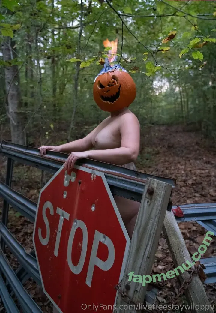 livefreestaywildppv nude photo #0021 (livefreestaywildppv)