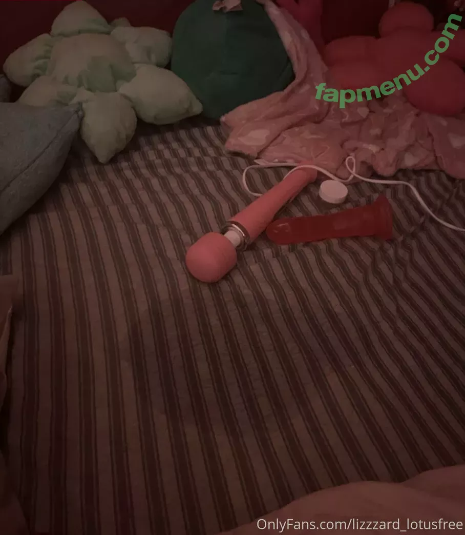 lizgizzardfree nude photo #0007 (princejoshy)