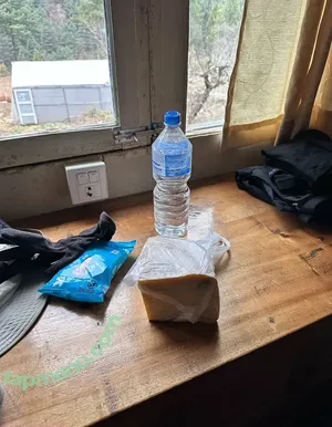 liztravels / liz travels nude photo #0040