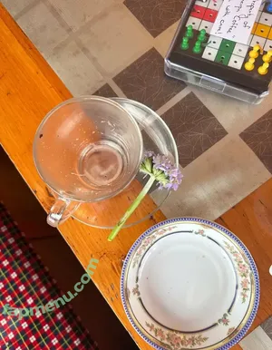 liztravels / liz travels nude photo #0055