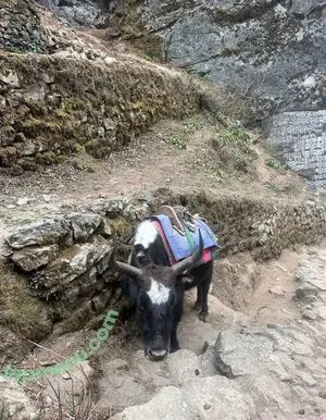 liztravels / liz travels nude photo #0073