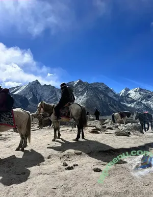 liztravels / liz travels nude photo #0077