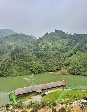 liztravels / liz travels nude photo #0081