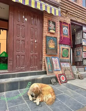 liztravels / liz travels nude photo #0098