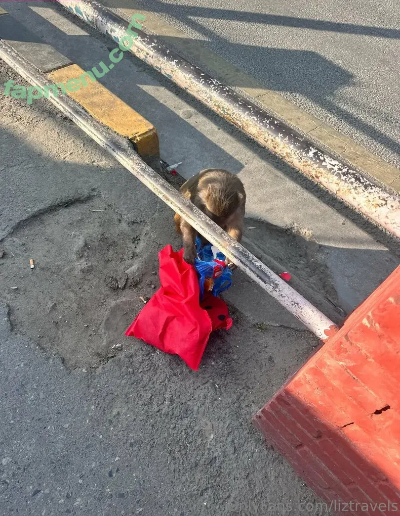 liztravels nude photo #0033 (liz travels)