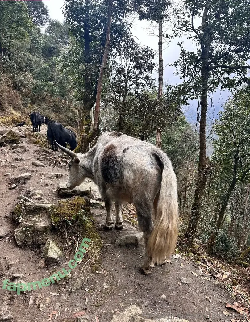 liztravels nude photo #0053 (liz travels)