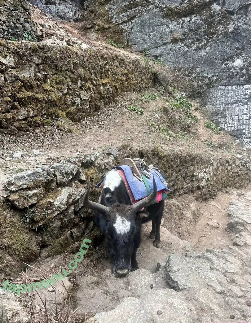 liztravels nude photo #0073 (liz travels)