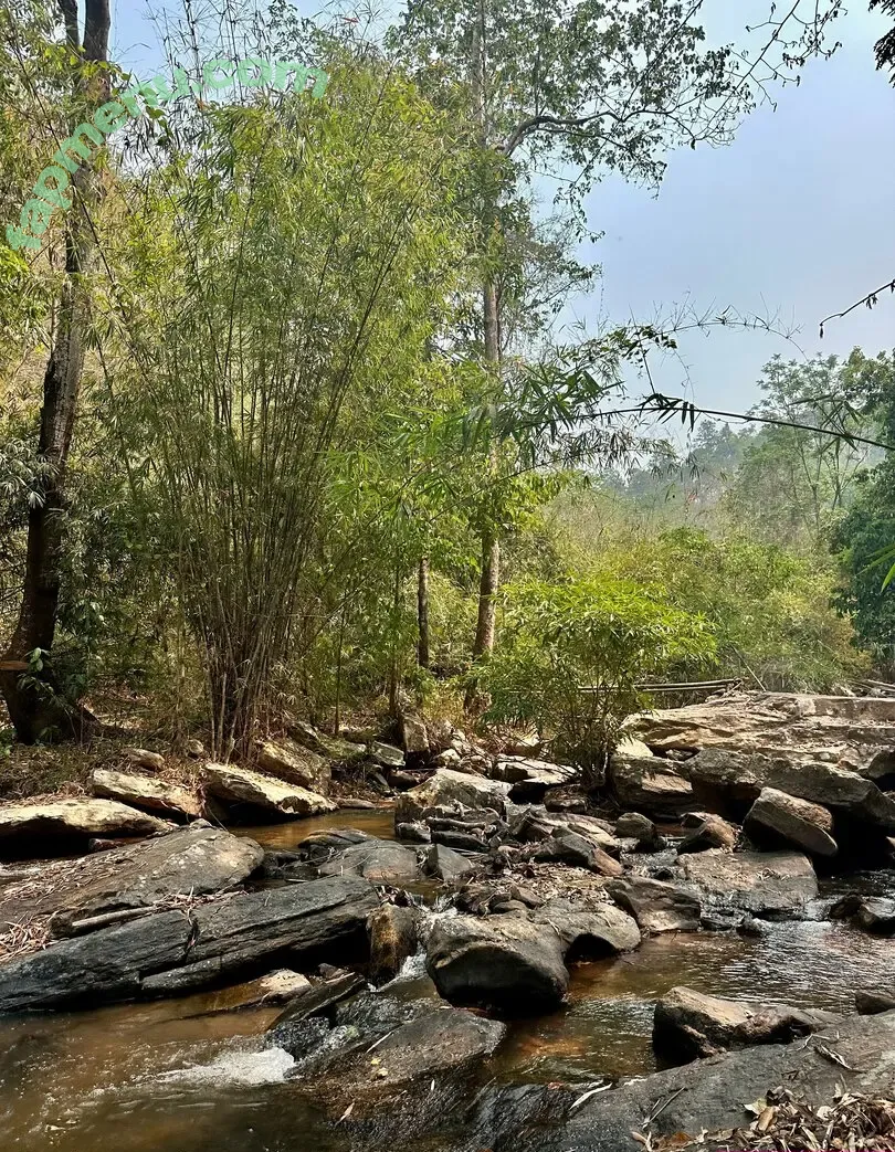 liztravels nude photo #0111 (liz travels)