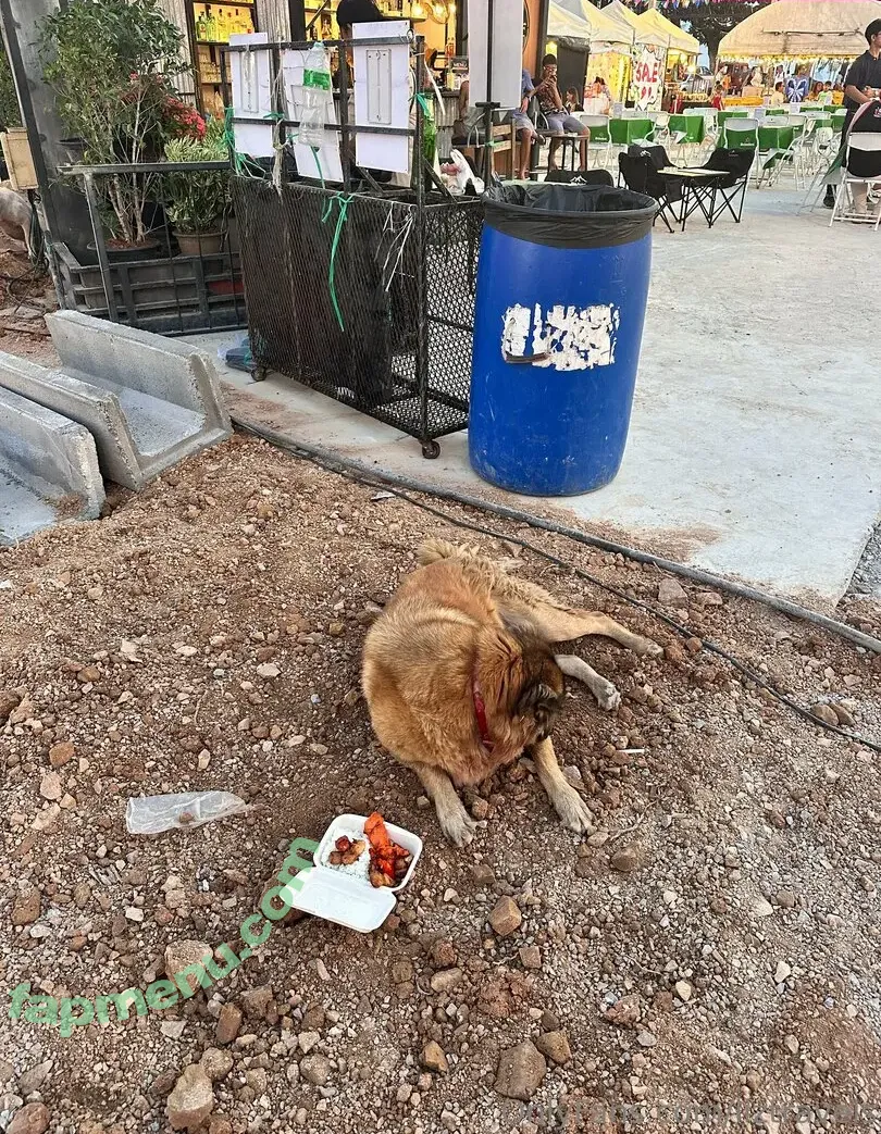 liztravels nude photo #0120 (liz travels)