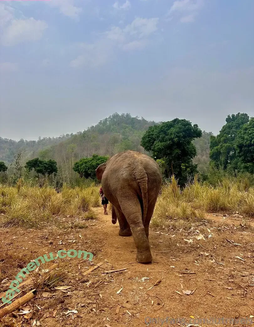 liztravels nude photo #0128 (liz travels)