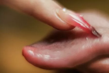 Long Tongue Fetish / _longtonguelewis / diqueentongue / longtonguelewis nude photo #0081