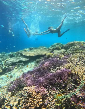 Lorrane Dos Santos / loloo_santos nude photo #0195