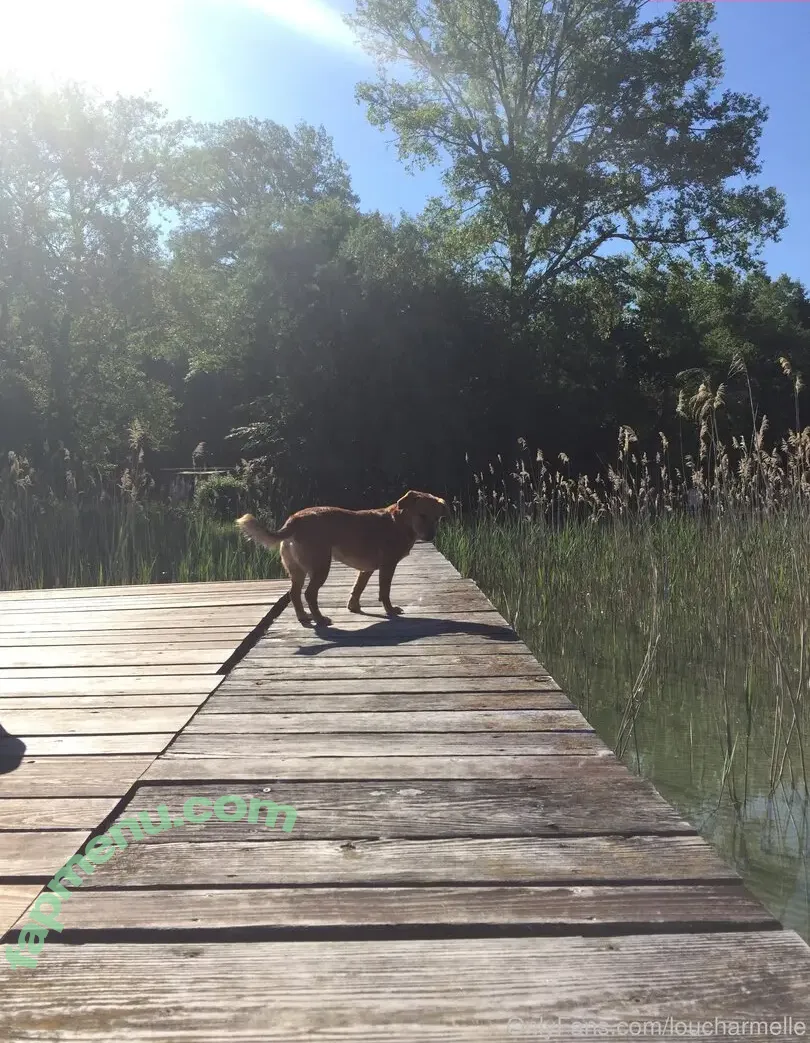 Lou Charmelle nude photo #0273 (LCharmelle / loucharmelle / loucharmelle.official)