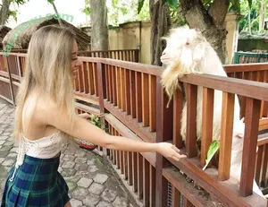 Lovelynnc / Lynn Chu / lovelynn / lovelynnc_love nude photo #0102