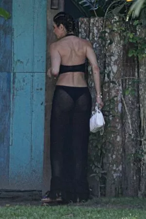 Luciana Gimenez / lucianagimenez nude photo #0135