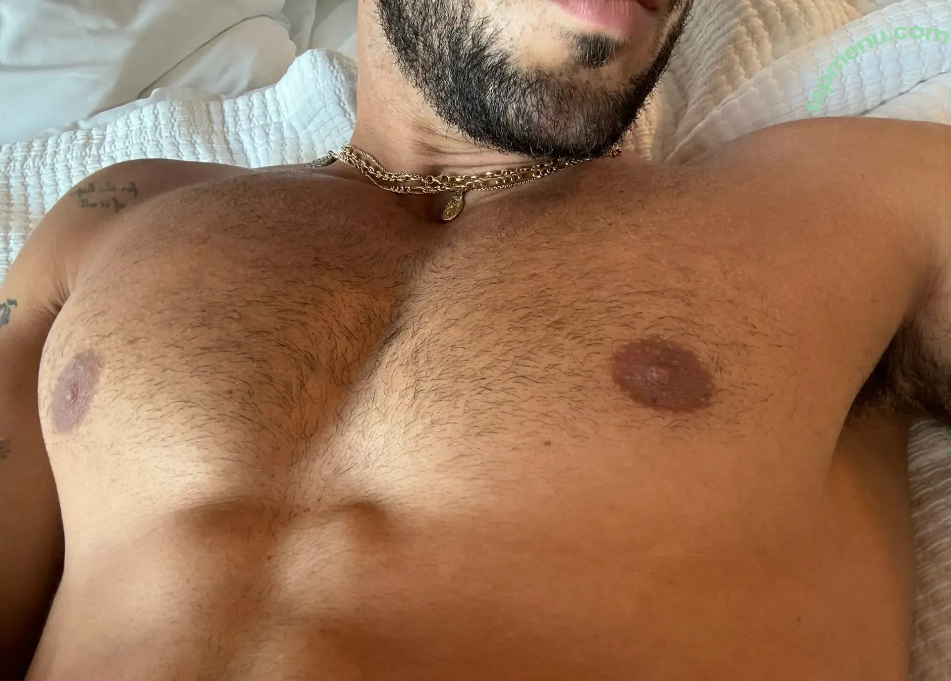 luiscapecchi nude photo #0001 (luiscapecchi)