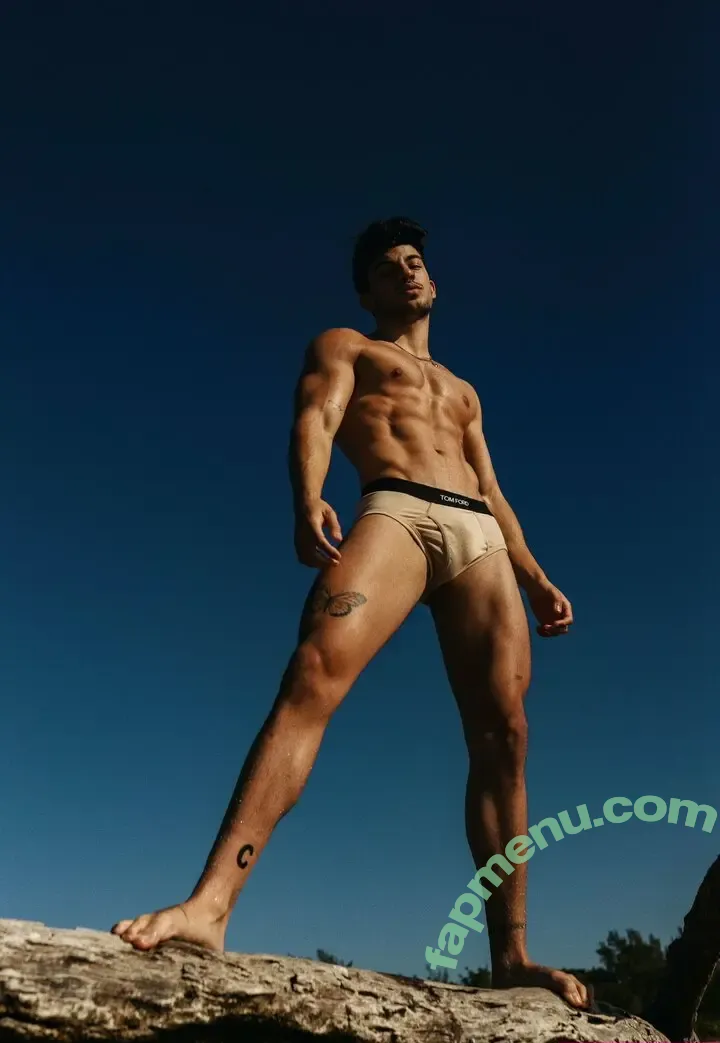 luiscapecchi nude photo #0007 (luiscapecchi)