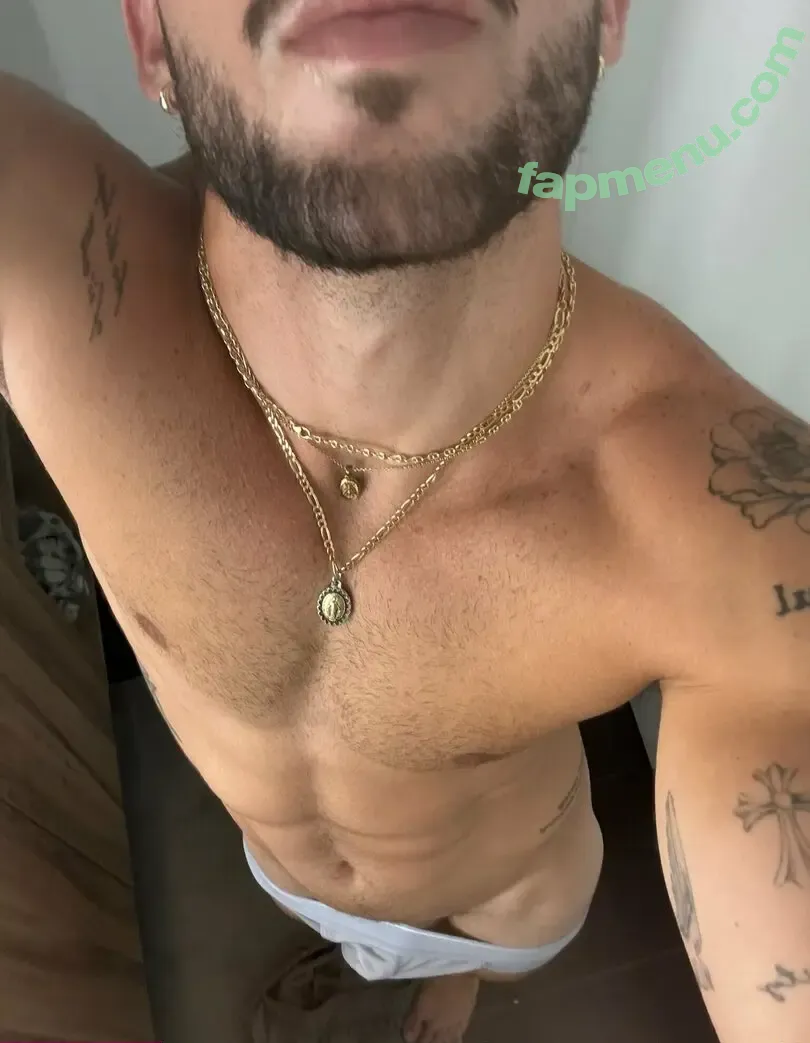 luiscapecchi nude photo #0012 (luiscapecchi)
