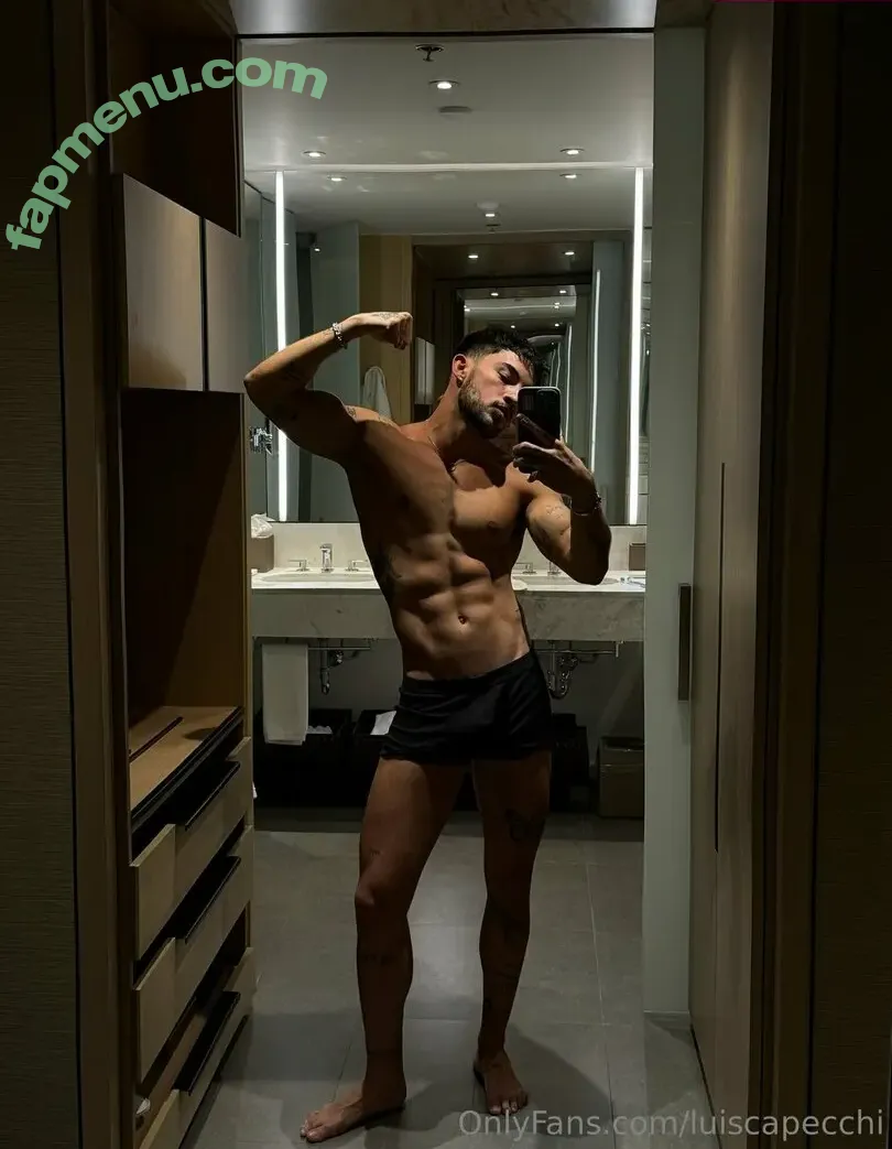 luiscapecchi nude photo #0018 (luiscapecchi)