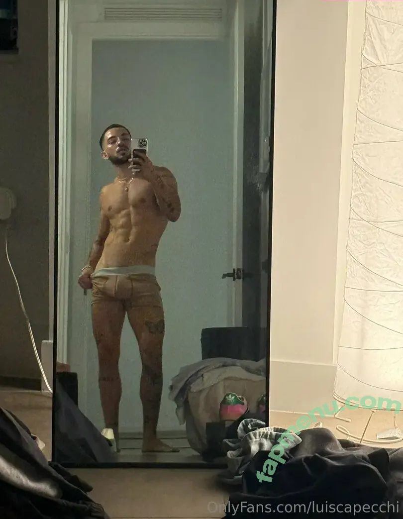 luiscapecchi nude photo #0023 (luiscapecchi)
