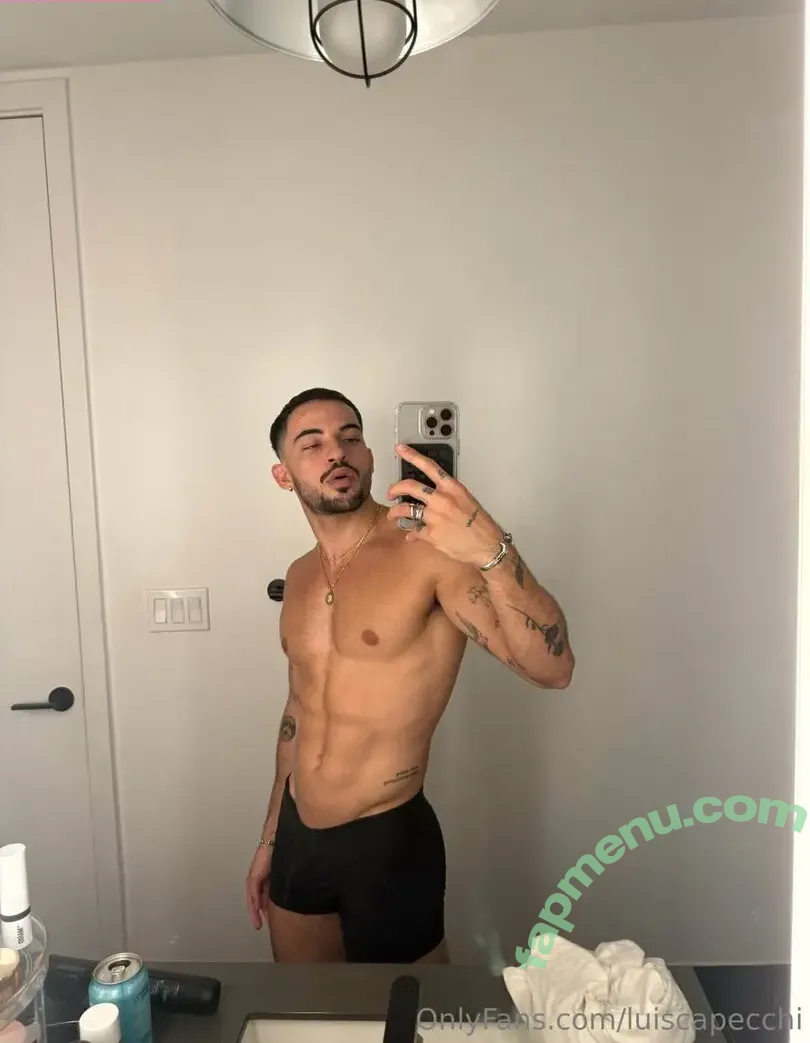 luiscapecchi nude photo #0024 (luiscapecchi)