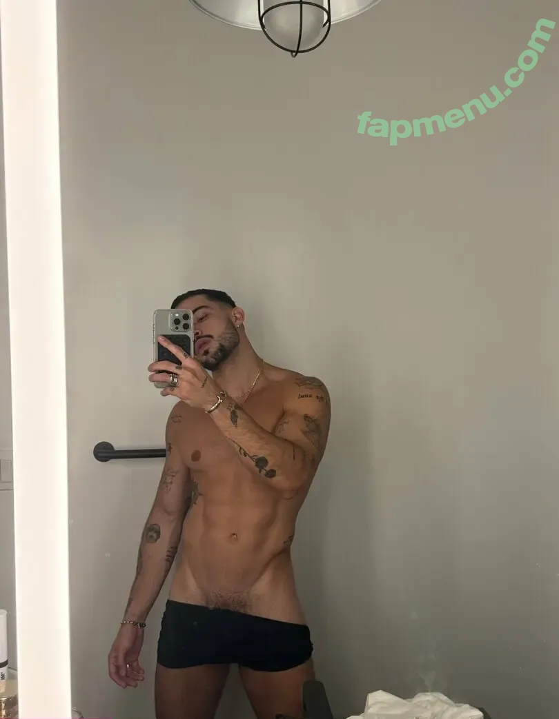 luiscapecchi nude photo #0027 (luiscapecchi)