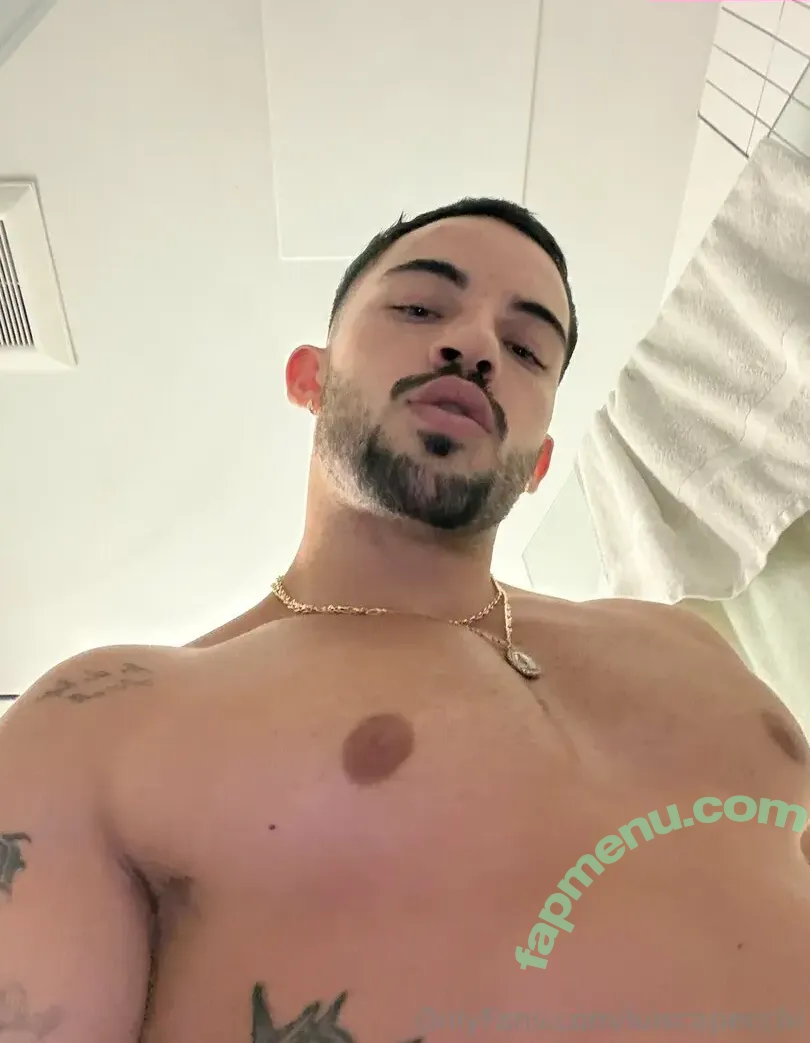 luiscapecchi nude photo #0028 (luiscapecchi)