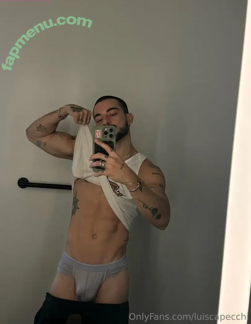 luiscapecchi nude photo #0029 (luiscapecchi)