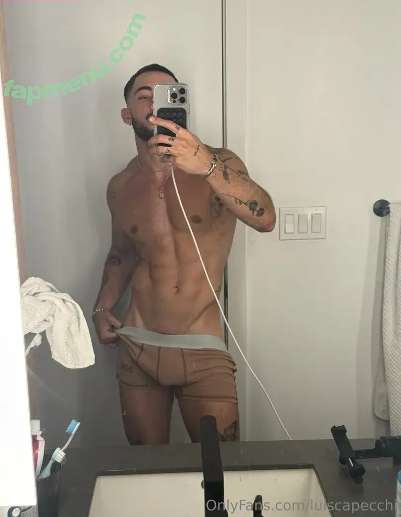 luiscapecchi nude photo #0031 (luiscapecchi)