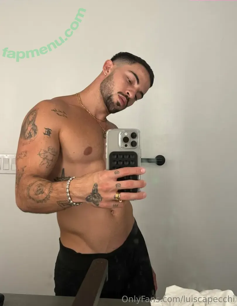 luiscapecchi nude photo #0032 (luiscapecchi)