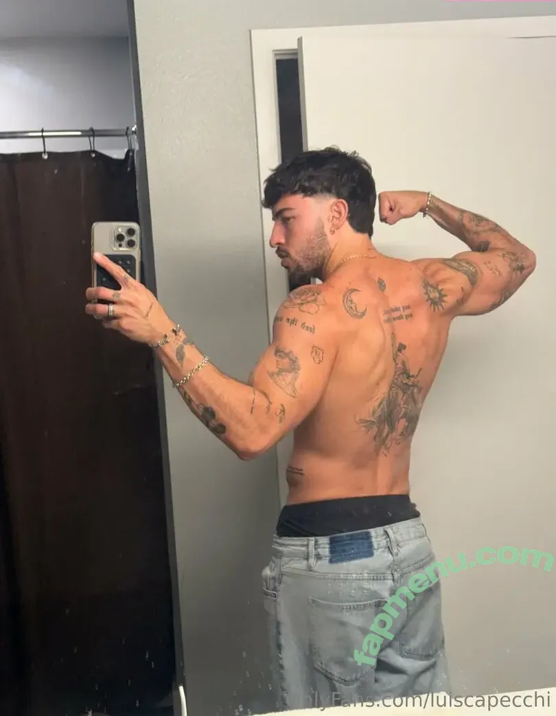 luiscapecchi nude photo #0008 (luiscapecchi)