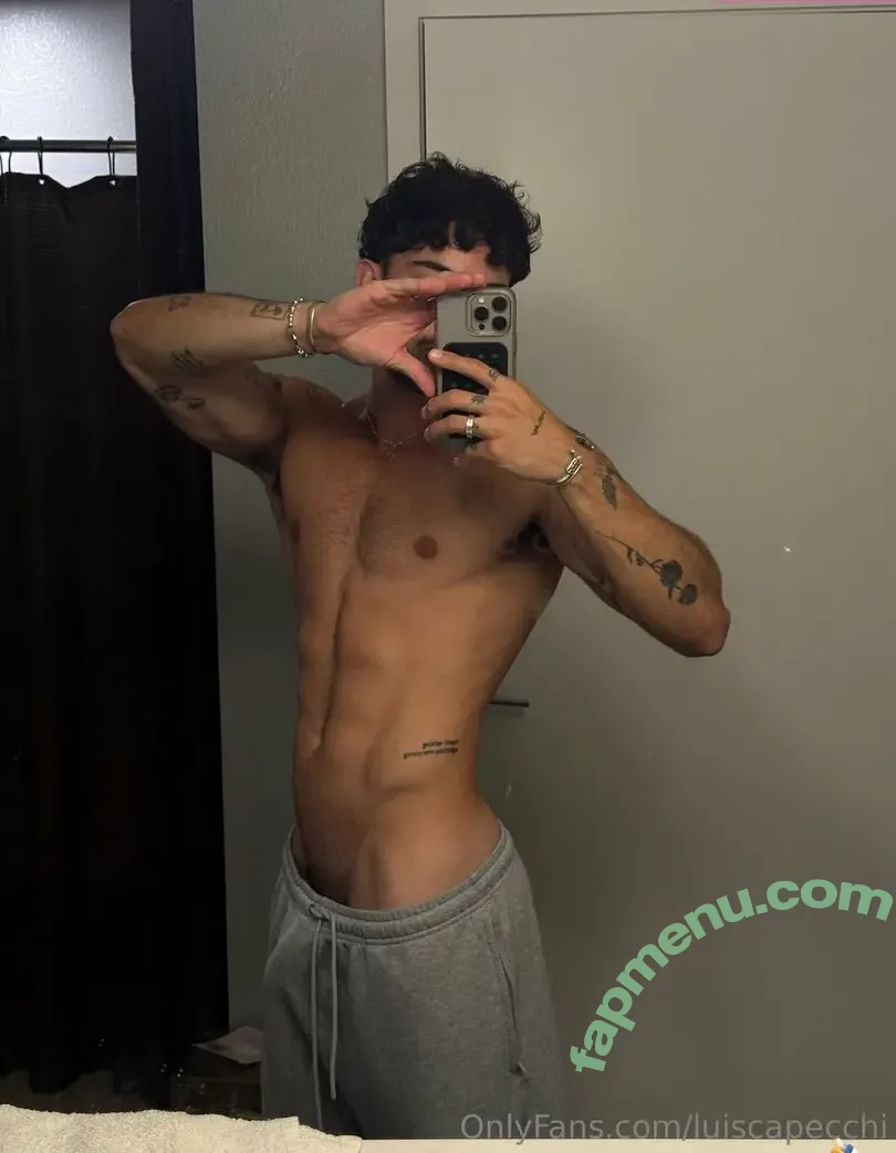 luiscapecchi nude photo #0015 (luiscapecchi)