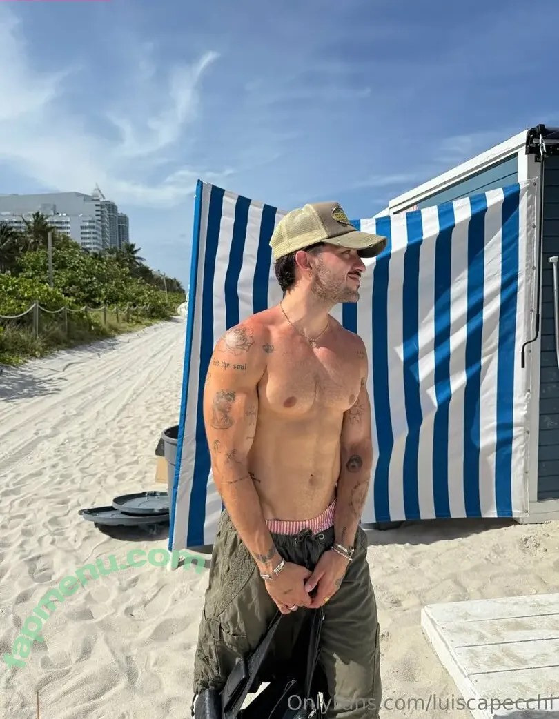 luiscapecchi nude photo #0016 (luiscapecchi)