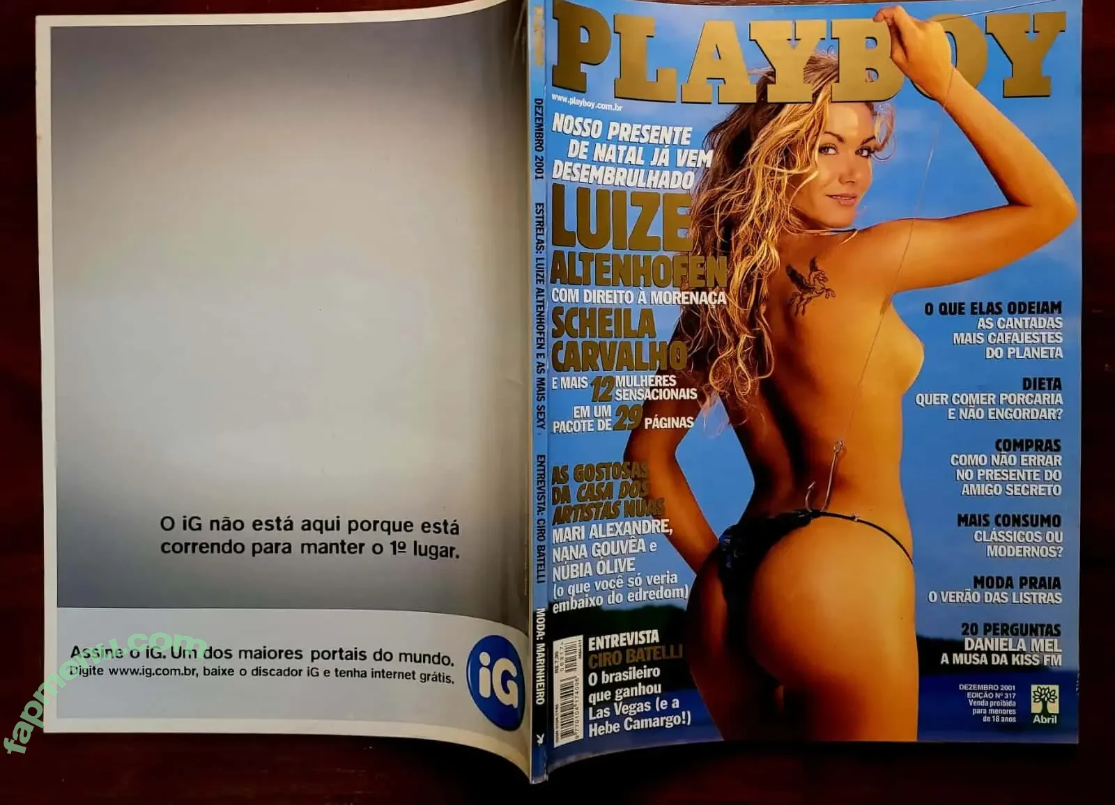 Luize Altenhofen nude photo #0101 (luizealtenhofen)